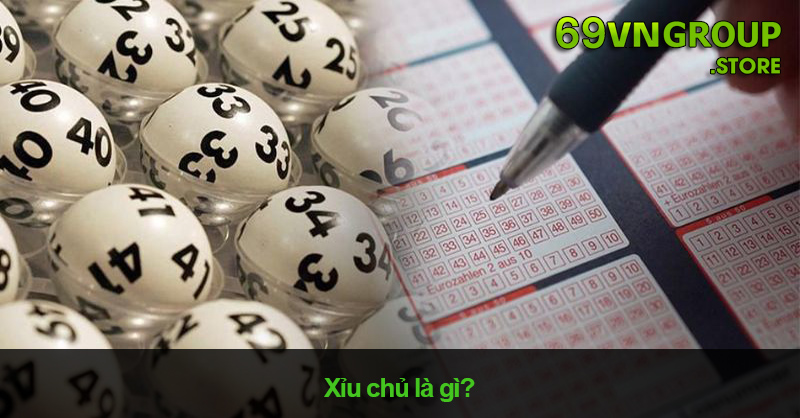 Xỉu Chủ Là Gì? Cách Đánh Xỉu Chủ Chi Tiết Tại Nhà Cái 69VN