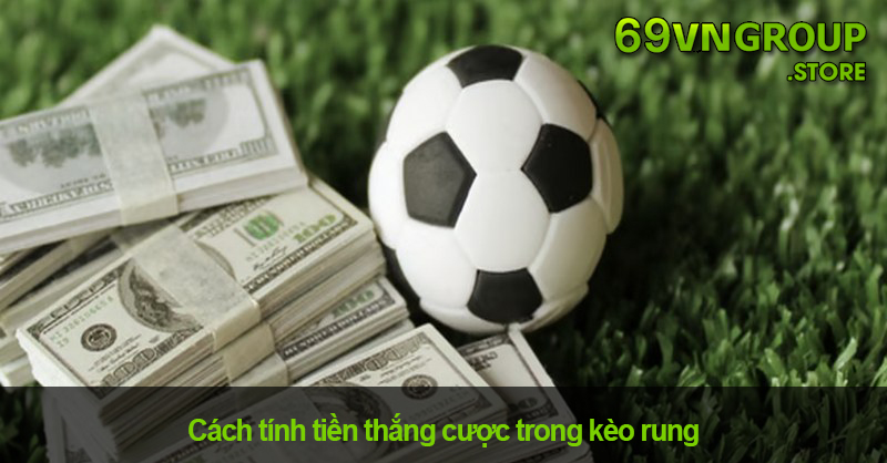 Cách tính tiền thắng cược trong kèo rung